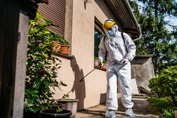 Best Exterminator Services  in Clinton, MO