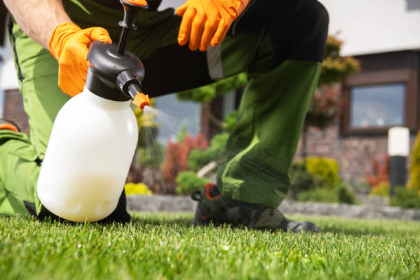 Best Pest Prevention Services  in Clinton, MO