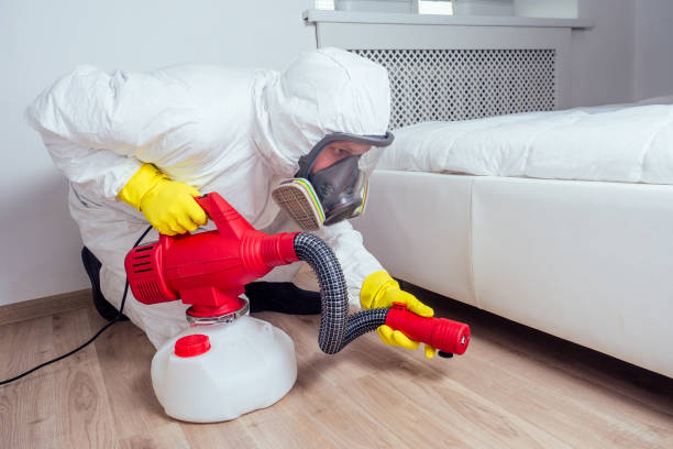 Best Emergency Pest Control  in Clinton, MO
