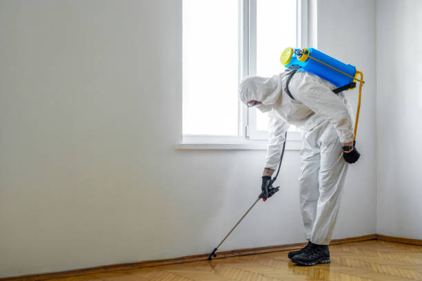  Clinton, MO Pest Control Pros