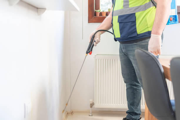 Wasp Removal Services in Clinton, MO