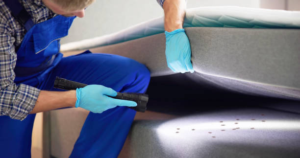Best Bed Bug Extermination  in Clinton, MO