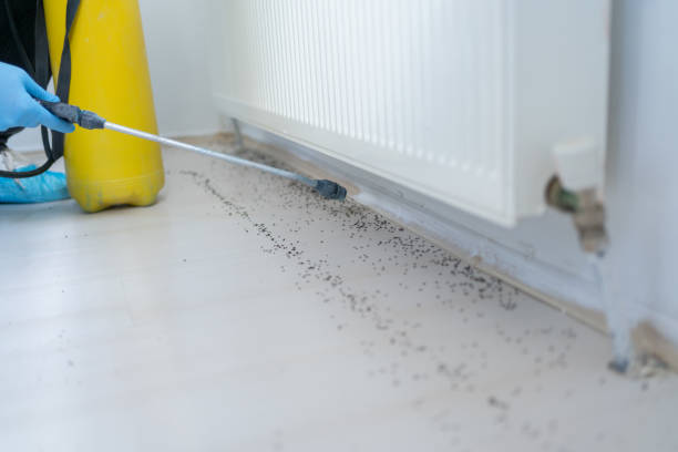 Professional Pest Control in Clinton, MO